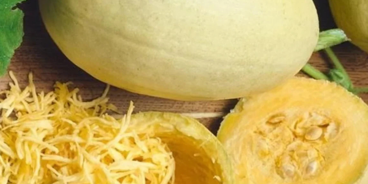 spaghetti squash seeds for planting Vegetable Spaghetti Winter Squash Seeds — Seeds 'n Such