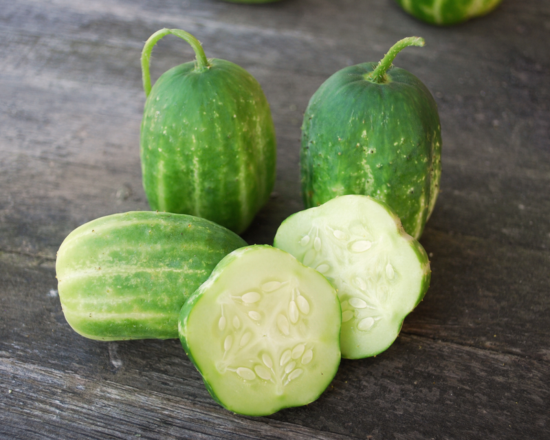 Richmond Green Apple Cucumber Seeds