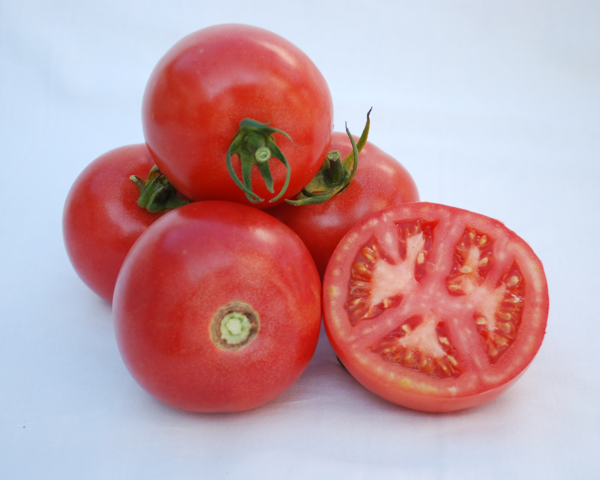 Arkansas Traveler Heirloom Tomato Seeds