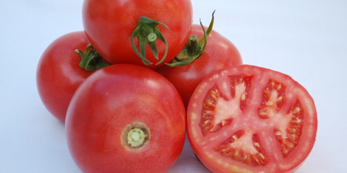 ark best seeds to plant Arkansas Traveler Heirloom Tomato Seeds — Seeds 'n Such