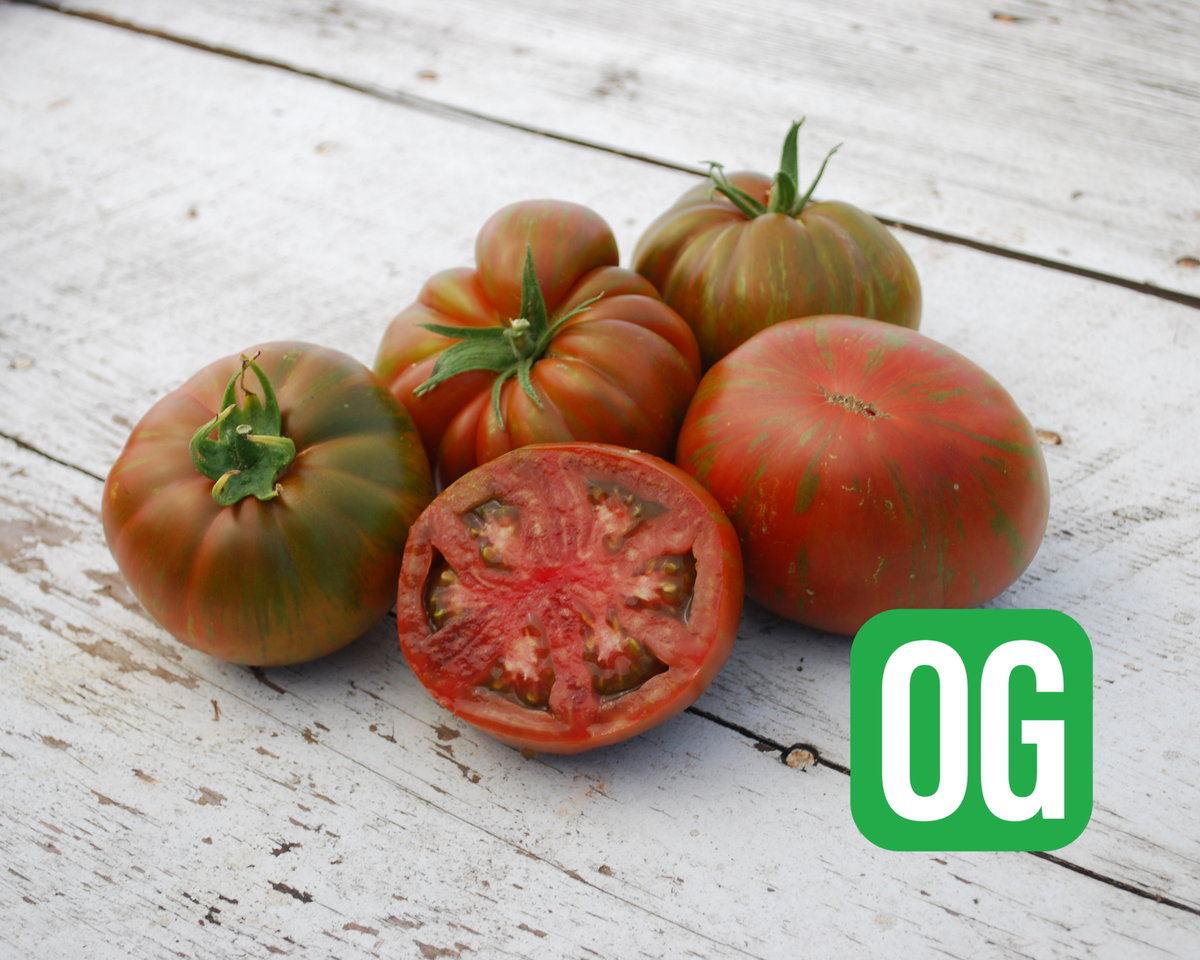 Large Barred Boar Organic Tomato Seeds