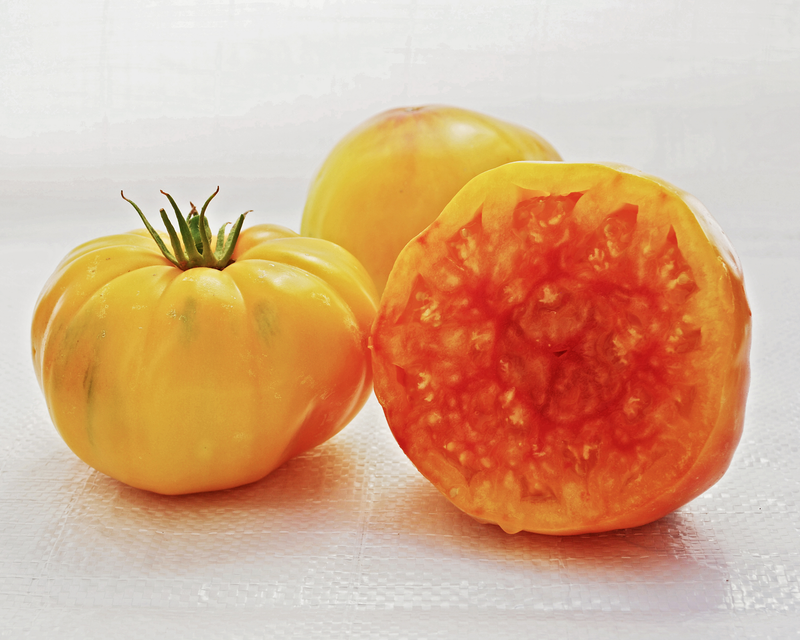 Bulk: Old German Tomato Seeds