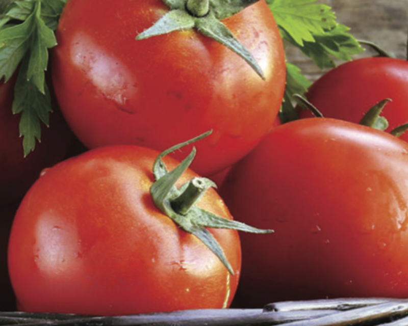 Goliath Early Hybrid VFFNT Tomato Seeds