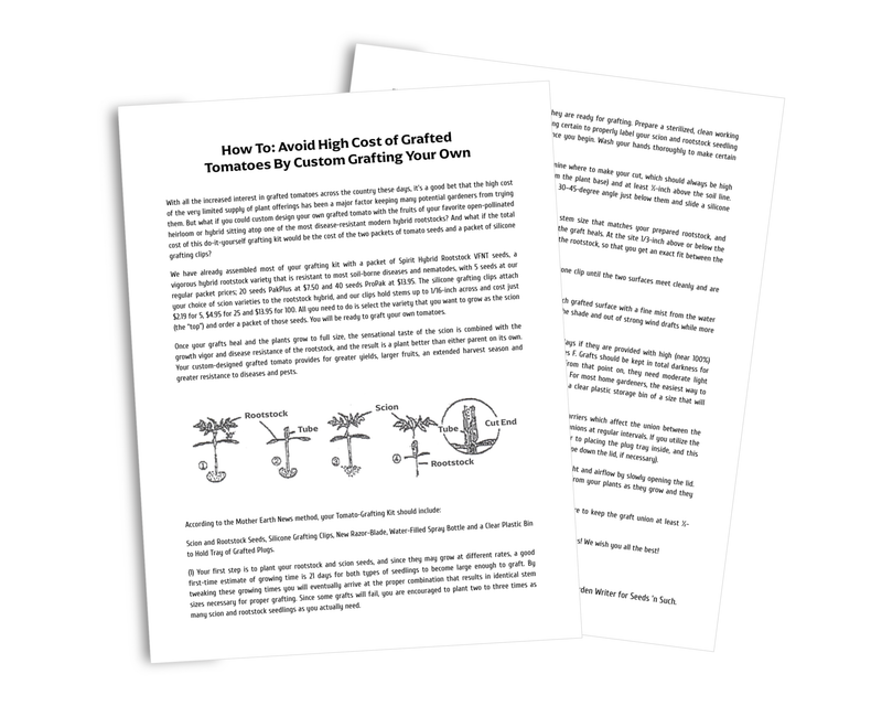 RST-04-105-T Hybrid Tomato Rootstock