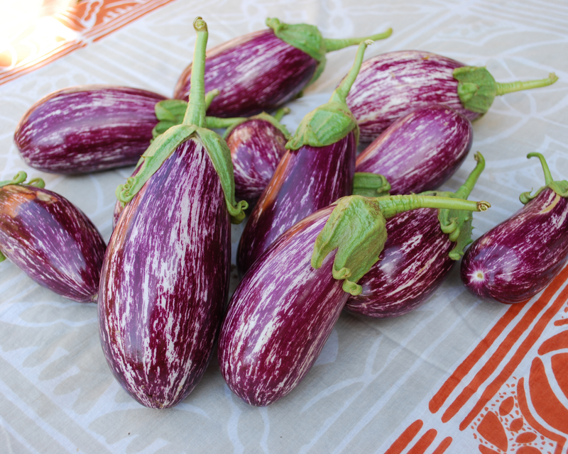 egg plant seeds Listada de Gandia Eggplant Seeds — Seeds 'n Such