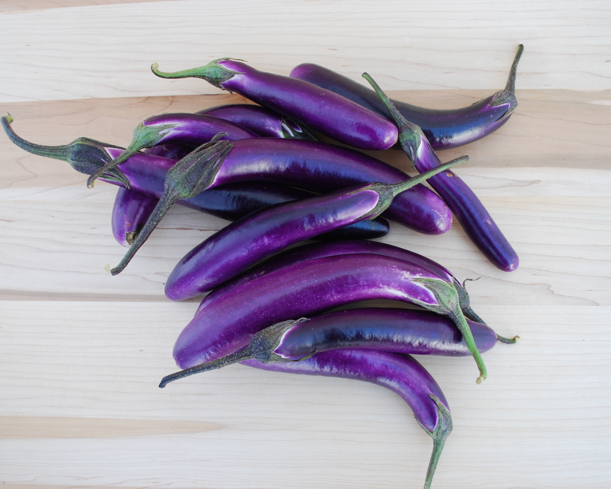 Ping Tung Long Eggplant Seeds
