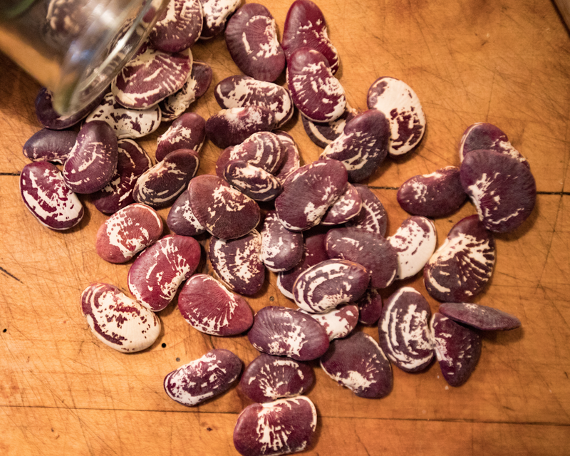 Christmas Pole Bean Seeds