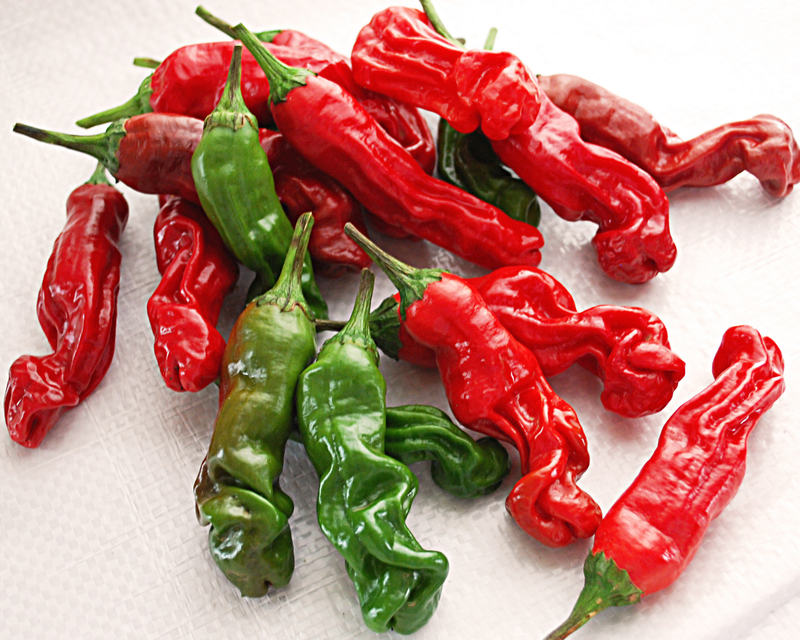Bulk: Red Peter Hot Pepper Seeds