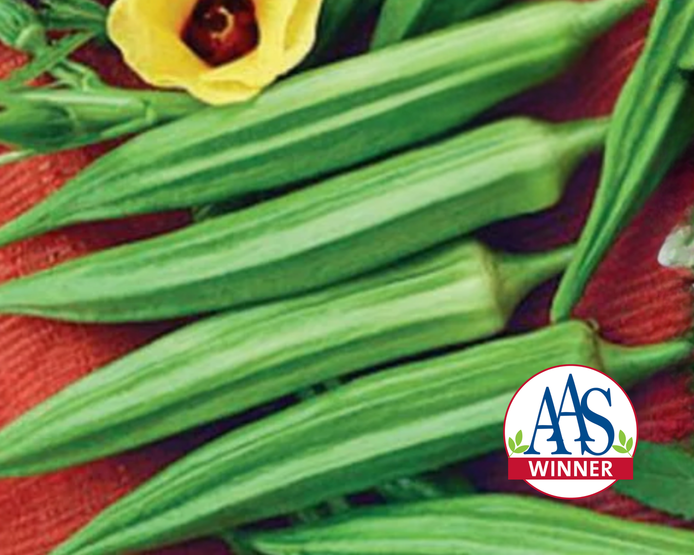 Okra