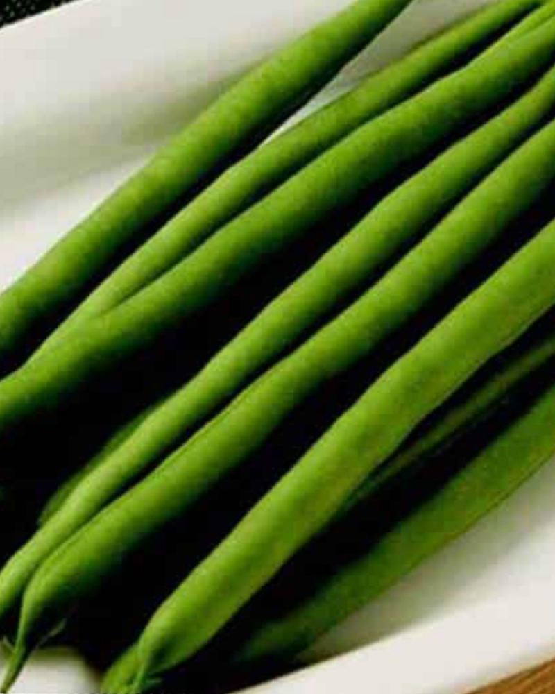 Jade Bush Bean Seeds