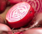 Chioggia Heirloom Beet Seeds