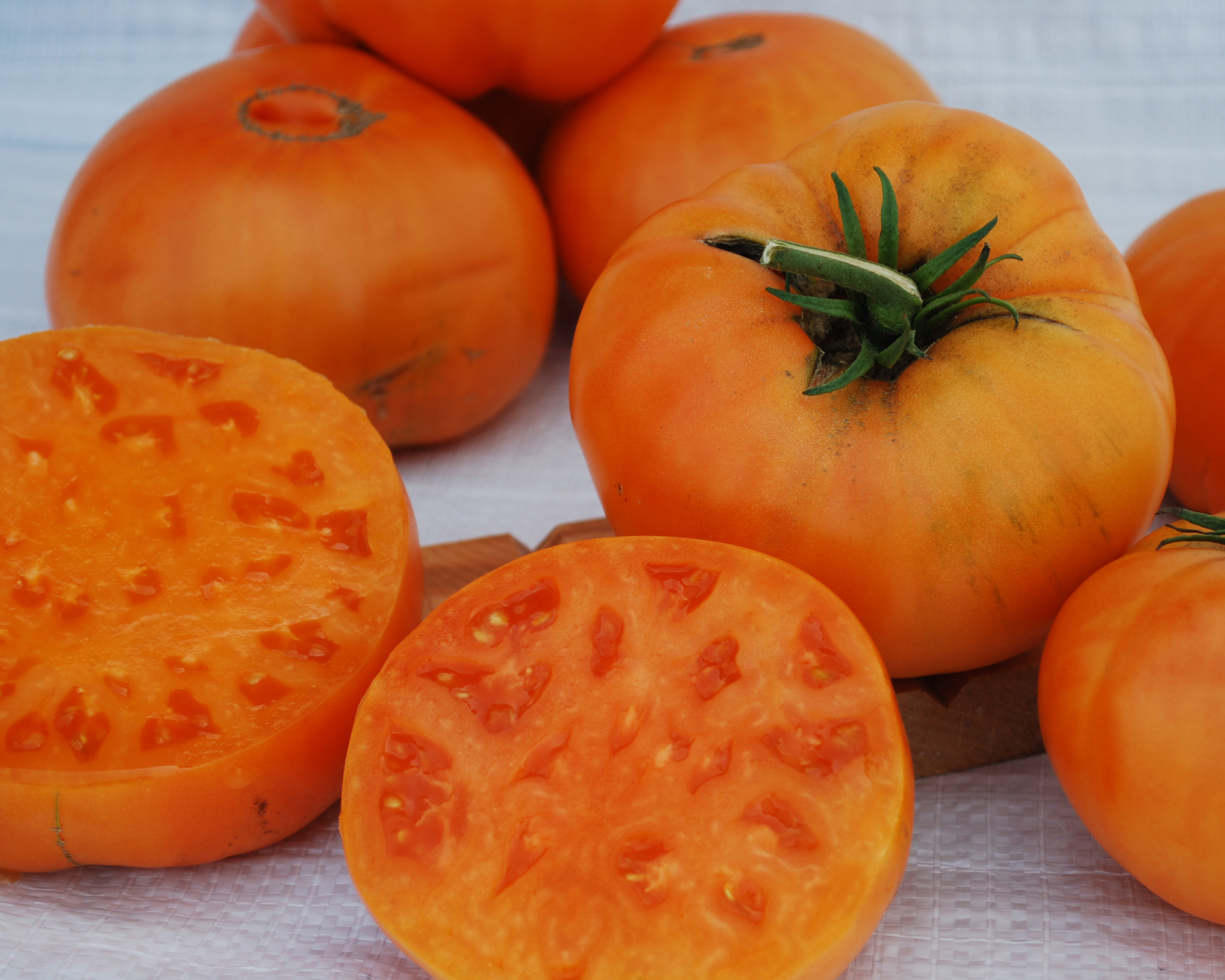 Seeds 'n Such Kellogg's Breakfast Tomato Seeds
