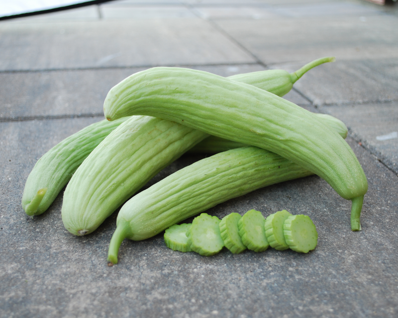 Bulk: Armenian Green Cucumber Seeds
