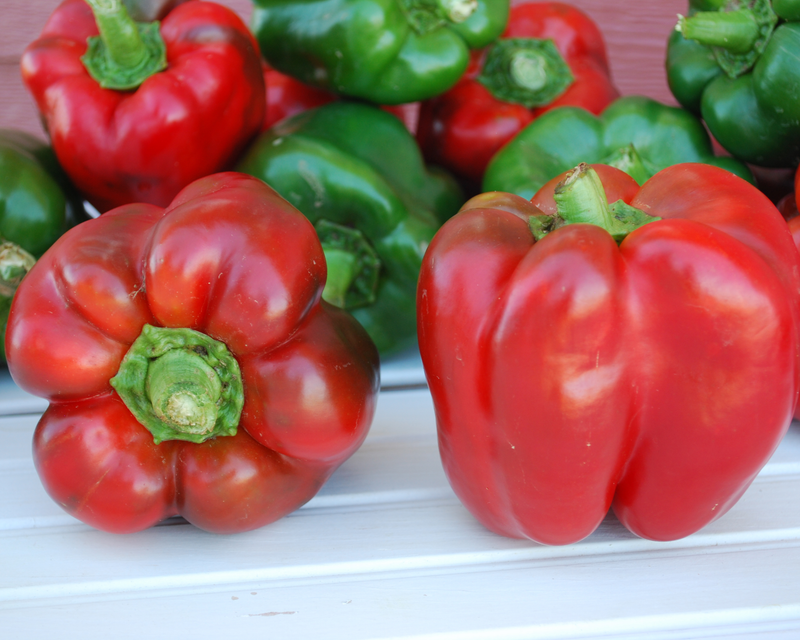 Bulk: King of the North Pepper Seeds
