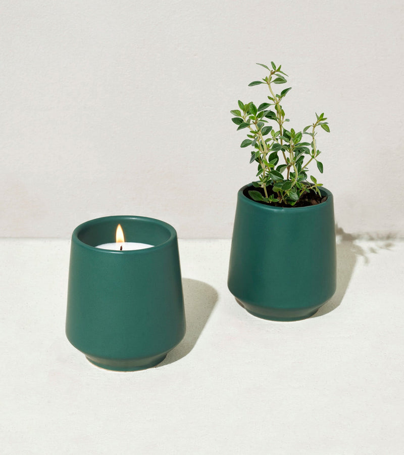 candles with seeds to plant Rooted Candles — Seeds 'n Such