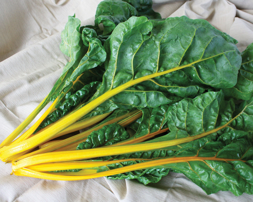 El Dorado Swiss Chard Seeds