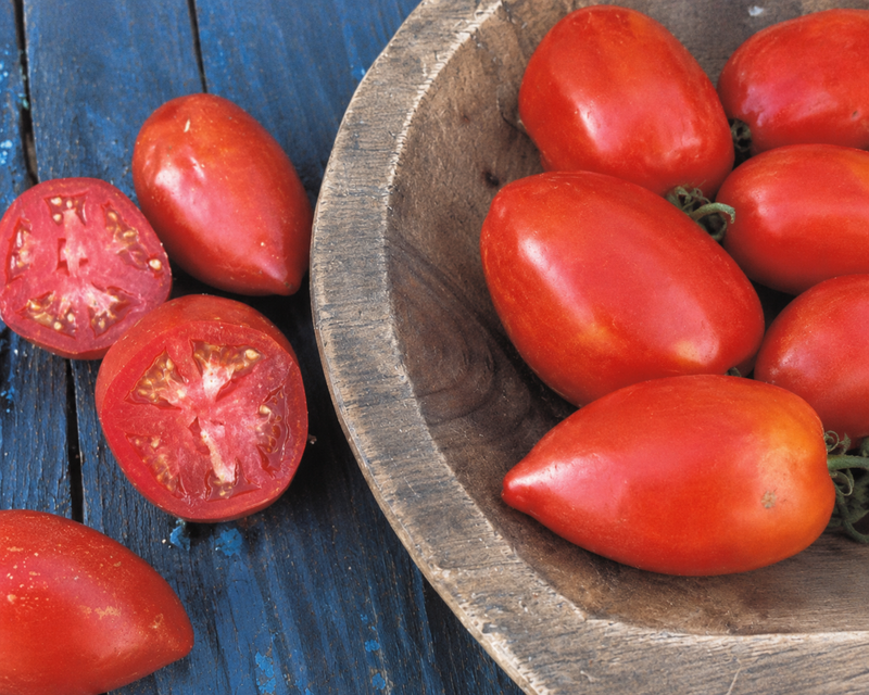Amish Paste Tomato Seeds