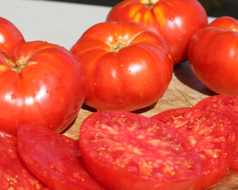 Beefmaster Hybrid Beefsteak VFNASt Tomato Seeds