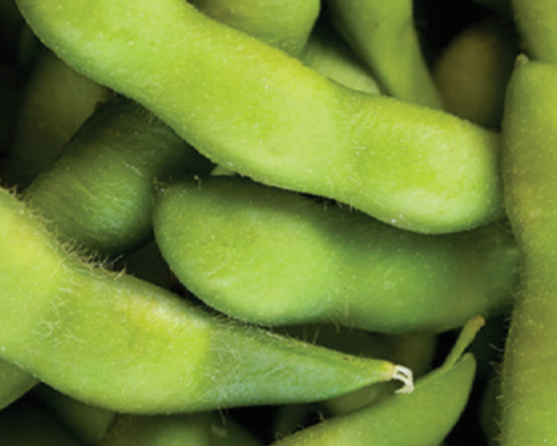 Be Sweet Edamame Seeds