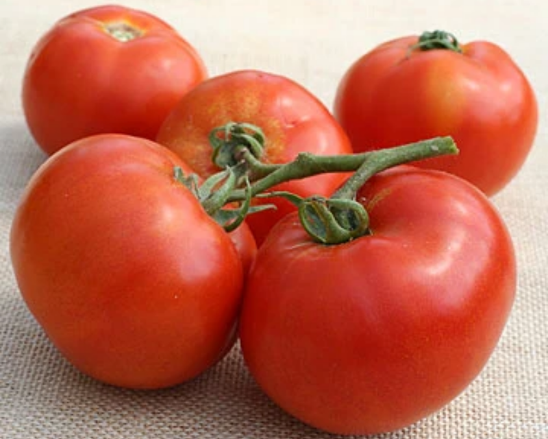 BHN 589 Hybrid Tomato Seeds