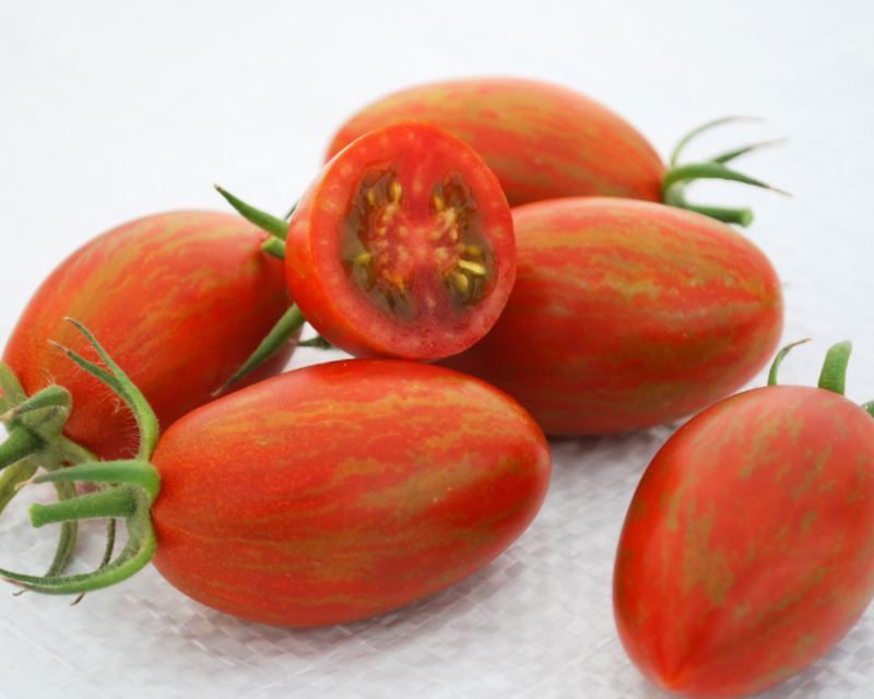 Bulk: Bronze Torch Hybrid Tomato Seeds