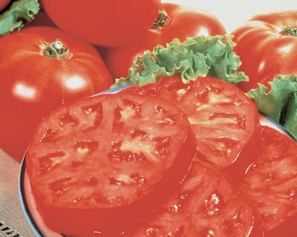 Burpee's Supersteak Hybrid Beefsteak VFN Tomato Seeds