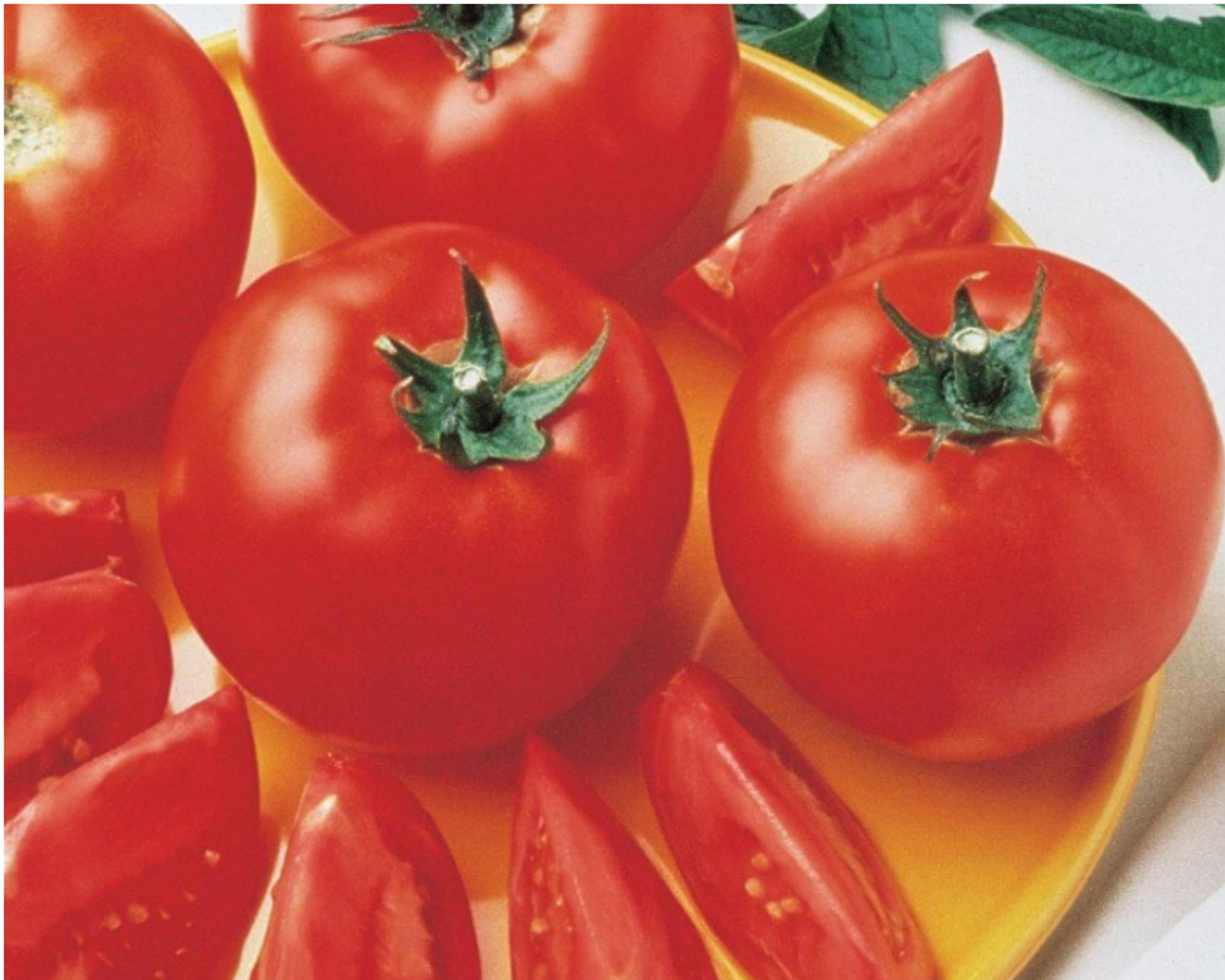 Bush Tomatoes for Short Stakes