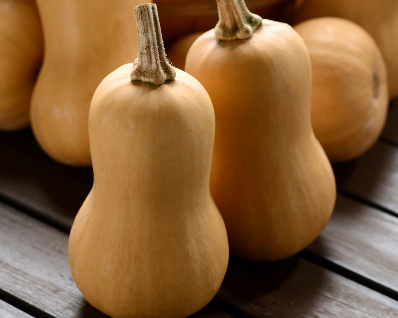Butterbaby Hybrid Mini Butternut Squash Seeds