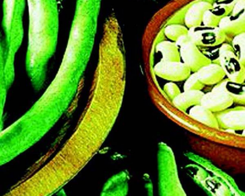 Bulk: California Blackeye No. 5 Bean Seeds