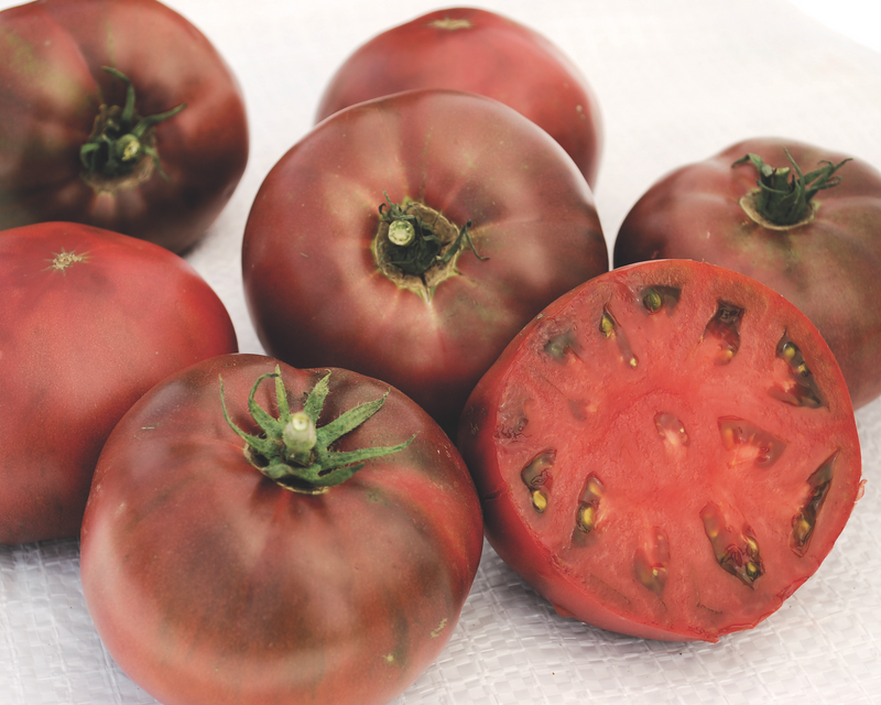 Carbon Tomato Seeds