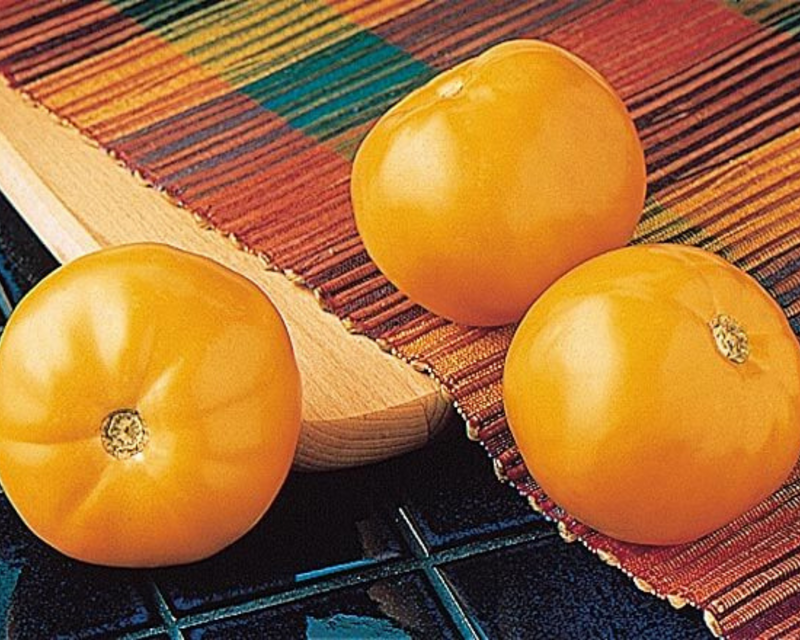 Bulk: Carolina Gold Hybrid Tomato Seeds