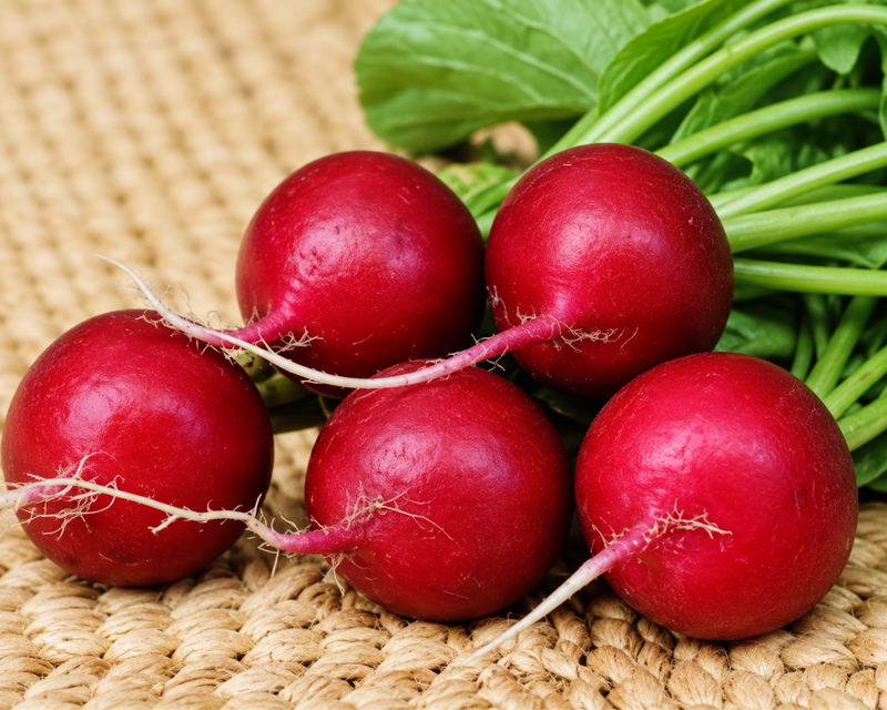 Champion Radish Seeds