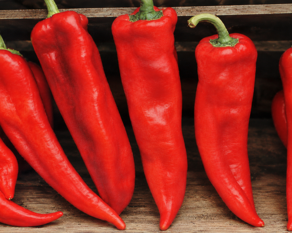 Corno di Toro Red Pepper Seeds