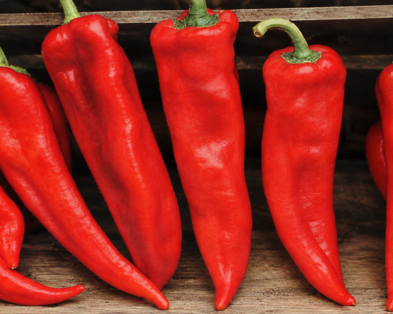 Corno di Toro Red Pepper Seeds