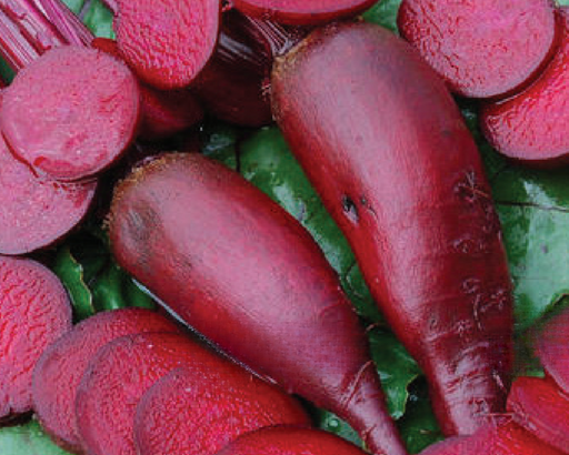 Beet Seeds - Big Large Heads! 30+ Seeds - Non-Profit Support (Free Shipping)