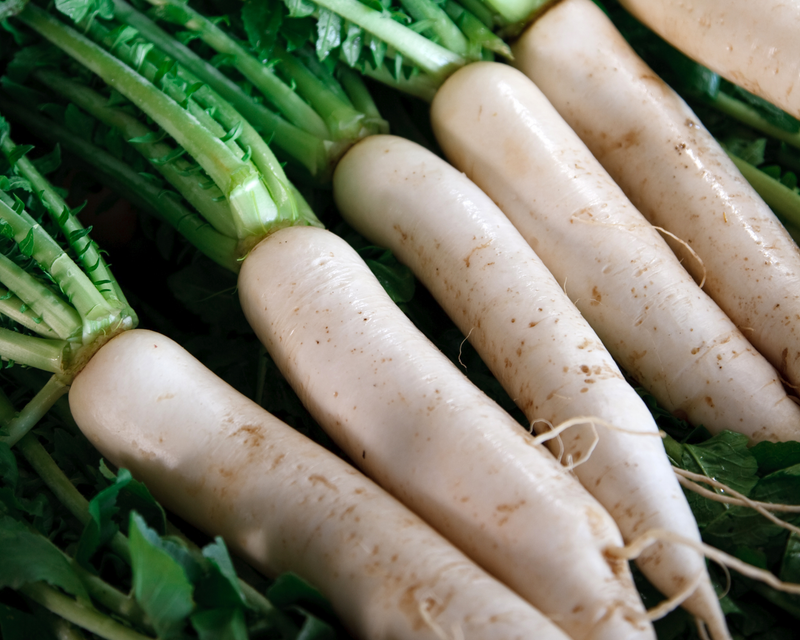 Daikon Minowase Summer Cross No. 3 Hybrid Radish Seeds