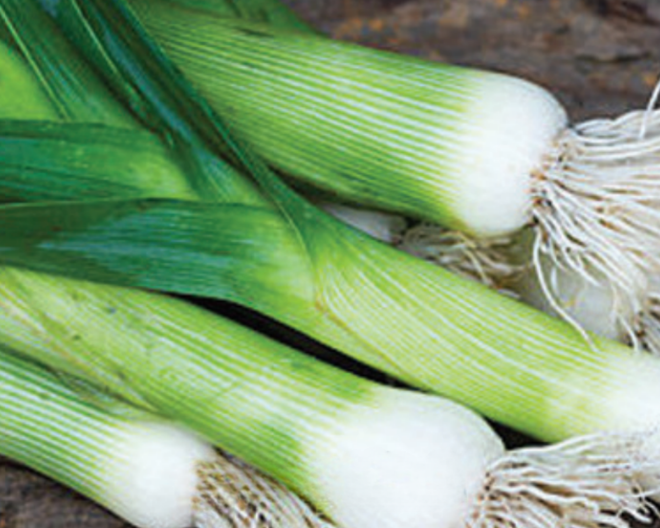 Leeks