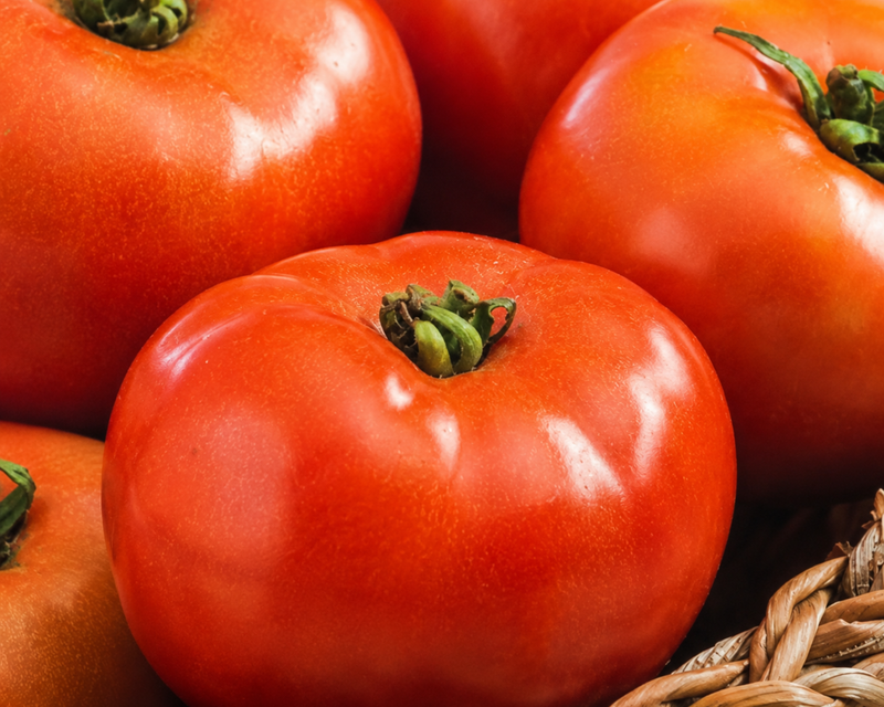 Defiant Hybrid Slicing VFFEbLb Tomato Seeds
