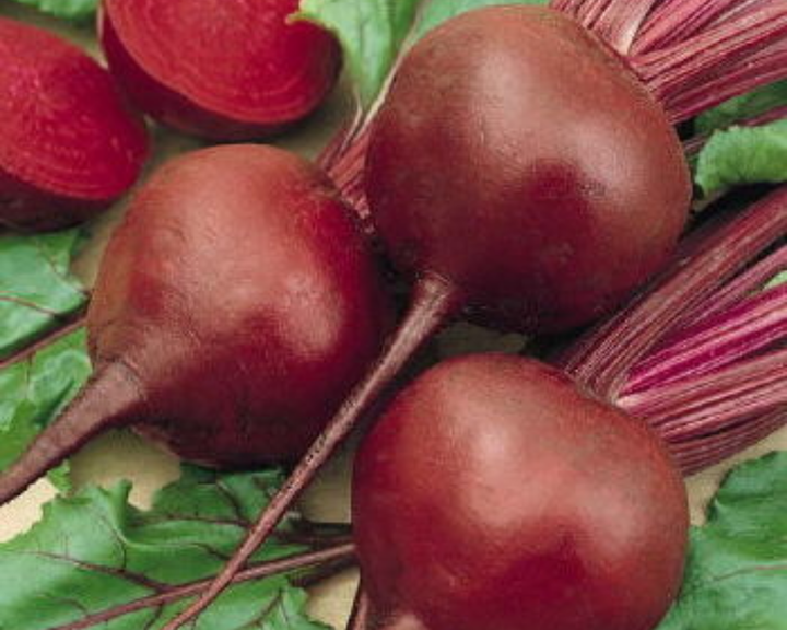 Early Wonder Heirloom Beet Seeds