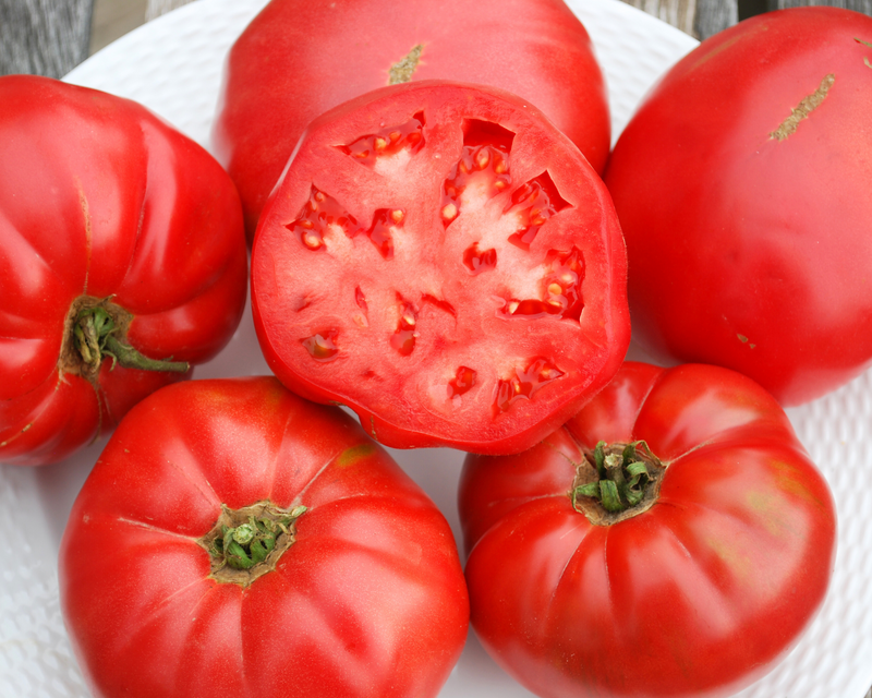 german red strawberry tomato seeds German Pink Tomato Seeds — Seeds 'n Such