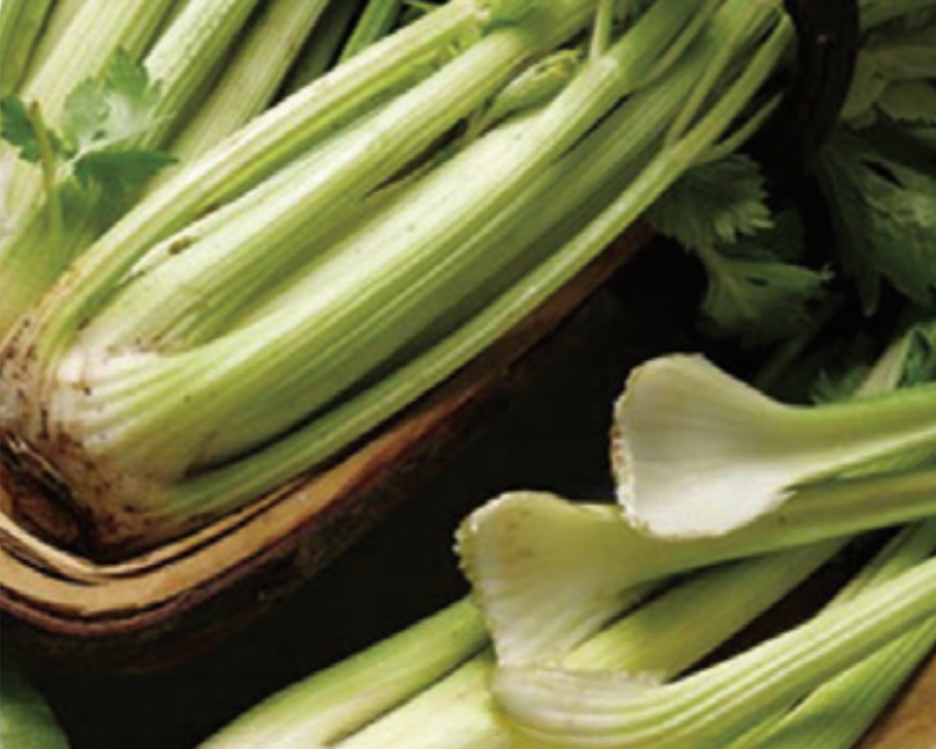 Celery
