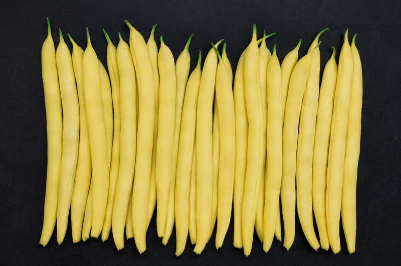 Gold Mine Bush Wax Bean Seeds