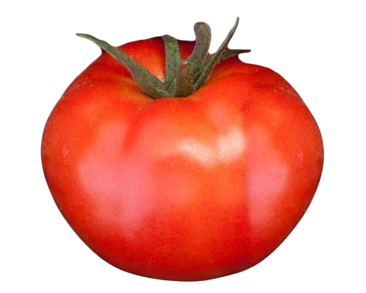 Goliath Giant Early Bush Hybrid VFFN Tomato Seeds