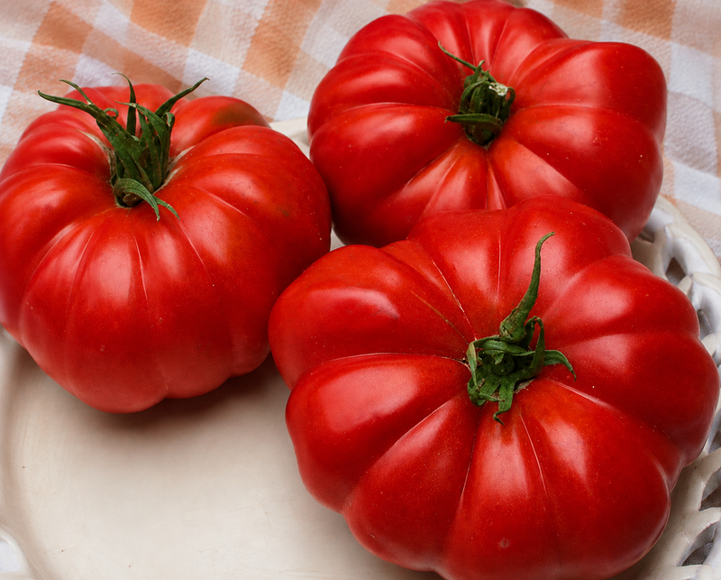 Grandma's Pick Hybrid Beefsteak VFNSt Tomato Seeds