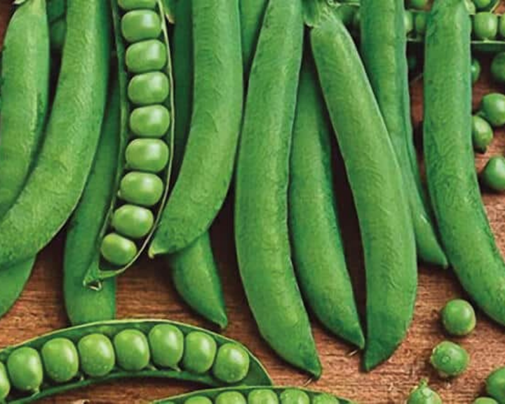 Green Arrow Pea Seeds