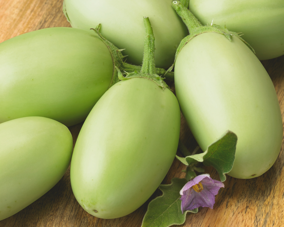 Green Envy Hybrid Eggplant Seeds