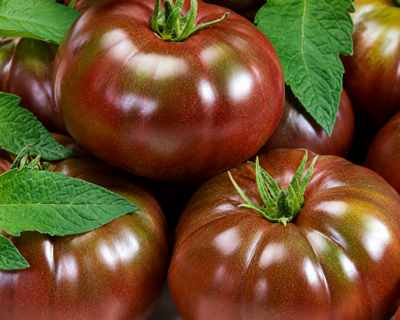 Heirloom Black Hybrid Tomato Seeds