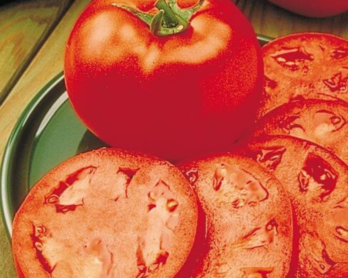 Homestead 24 Tomato Seeds — Seeds 'n Such