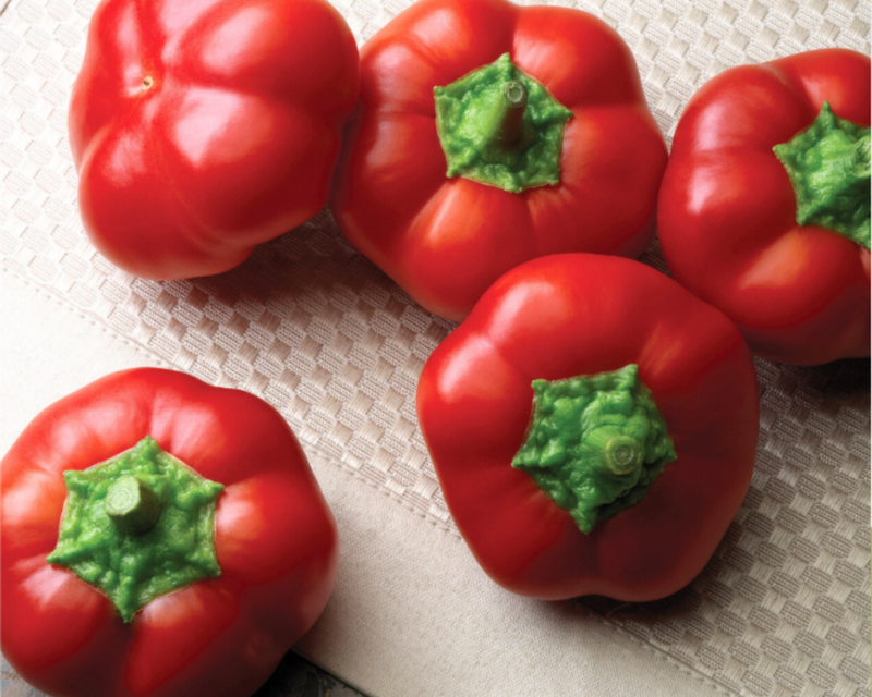 Hungarian Cheese Hybrid Formula Mix Non Bell Pepper Seeds