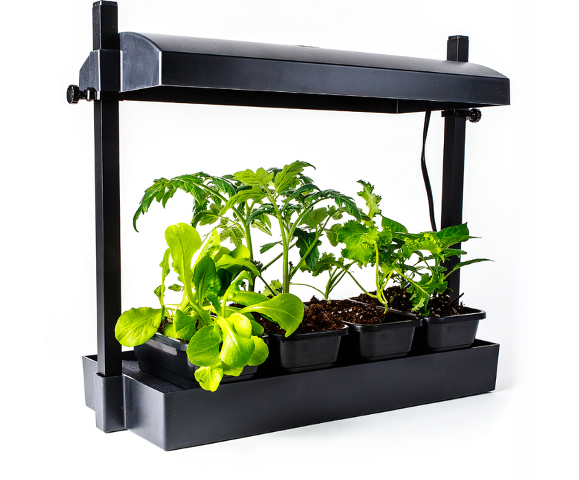 SunBlaster Micro LED Grow Light Garden